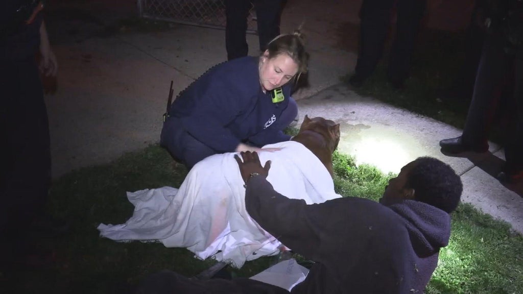 Dog resuscitated after West Englewood house fire