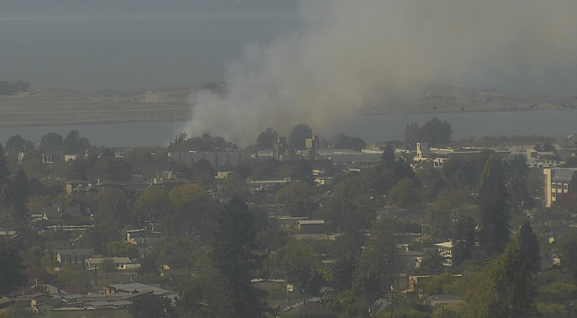 Firefighters battle vegetation fire near I-80 in Berkeley