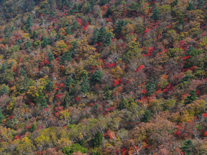October arrives with a chill: Crisp weather in store for long weekend