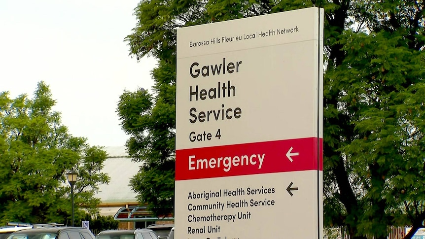Doctors' union concerned by nurses' behaviour at SA health service