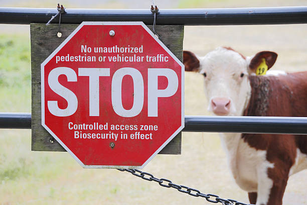 How efficient will the new FMD authorisation system be for farmers?