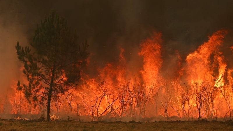 'Feels like an apocalypse' - Irish woman on French fires