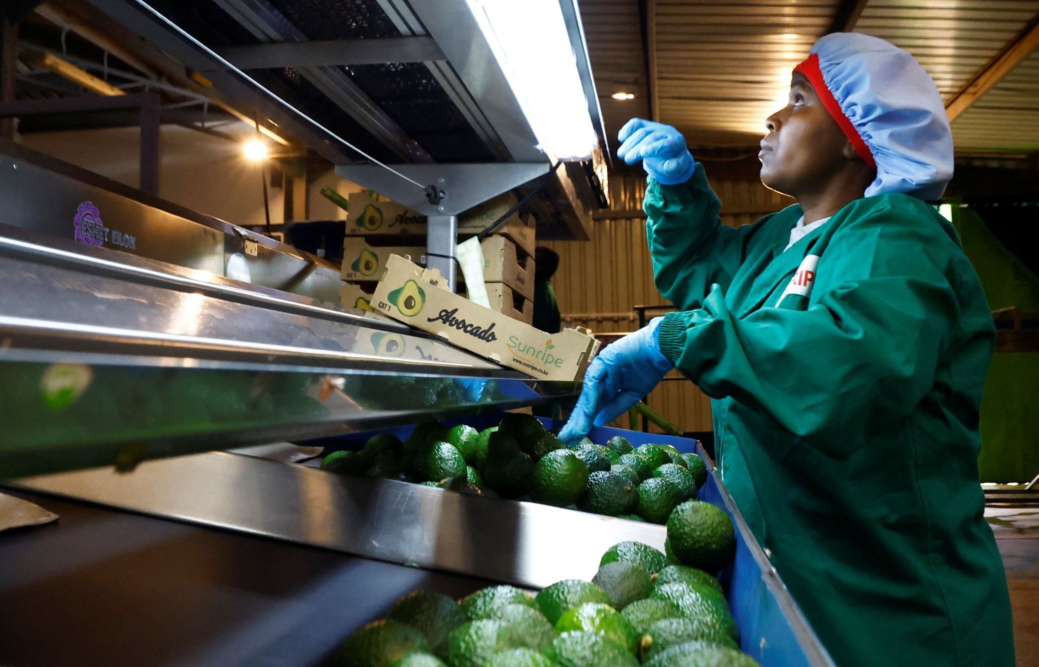 How energy costs will impact Africa’s exports