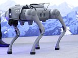 Meet Poochie - the robot dog who could soon be doing safety checks on your plane