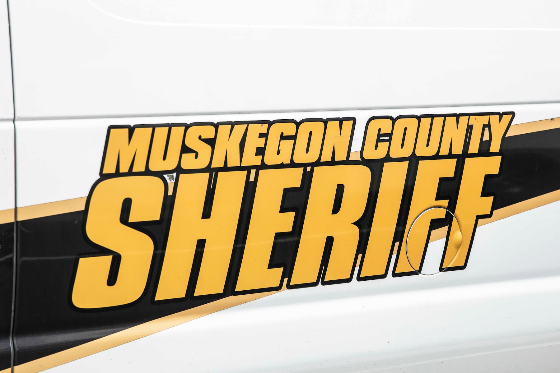 Boy, 11, killed by falling tree at Michigan scout camp