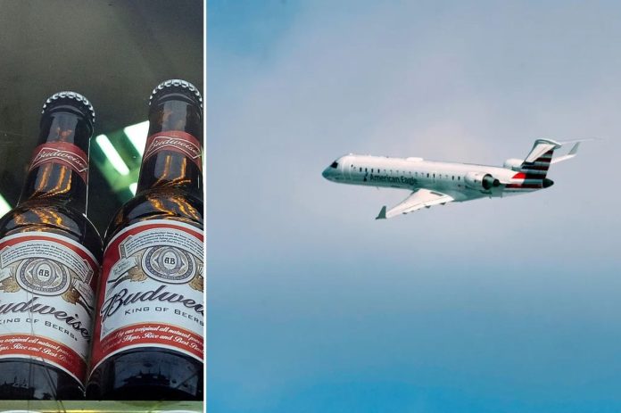 Legalized robbery: Alaska seized a $95,000 plane over a six-pack of beer