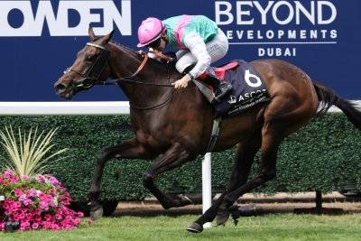 Three horses gain Breeders' Cup slots in weekend racing
