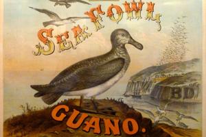 Bird droppings were a foundation of modern agriculture and American empire
