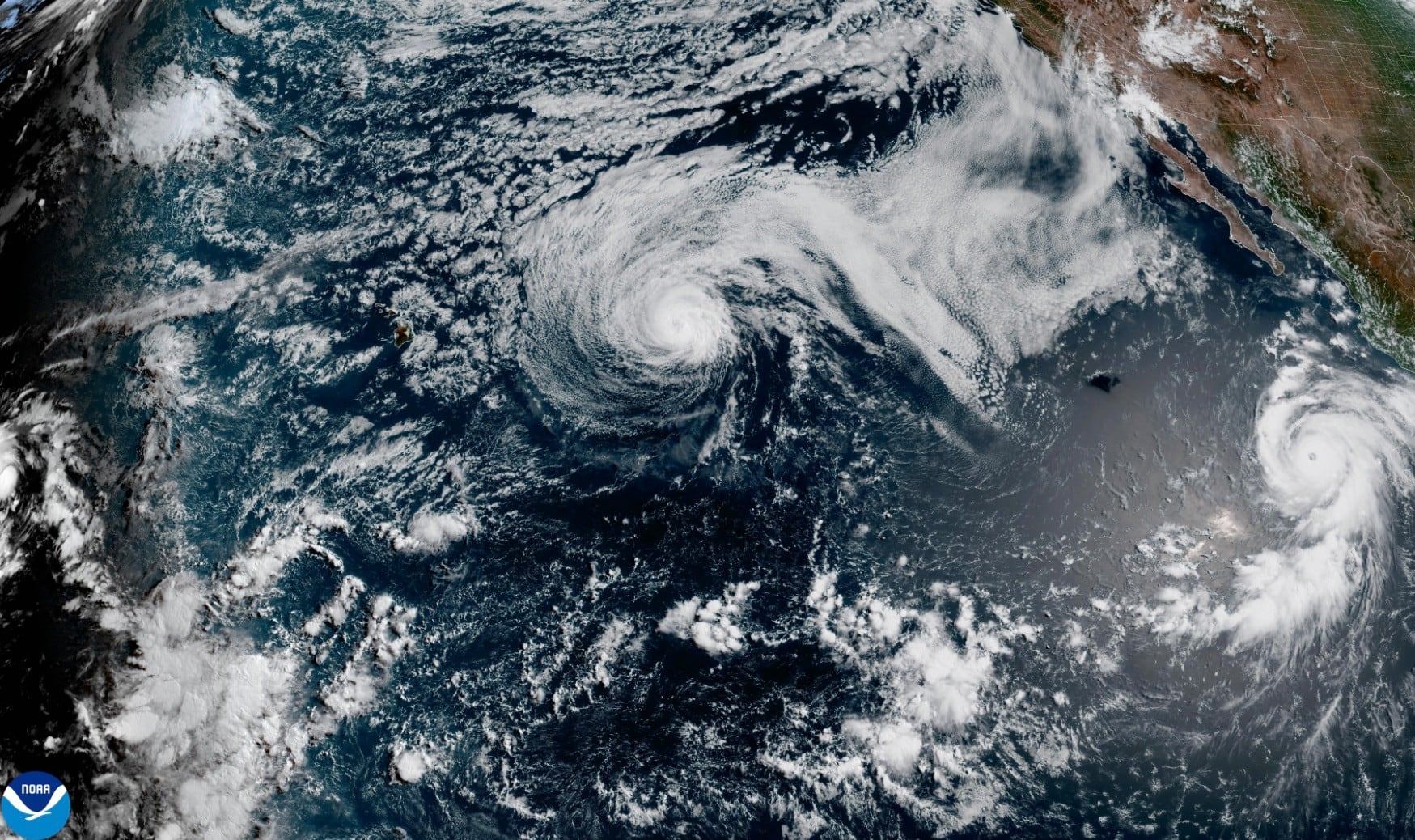 Genevieve becomes a Category 5 hurricane but is not expected to make landfall