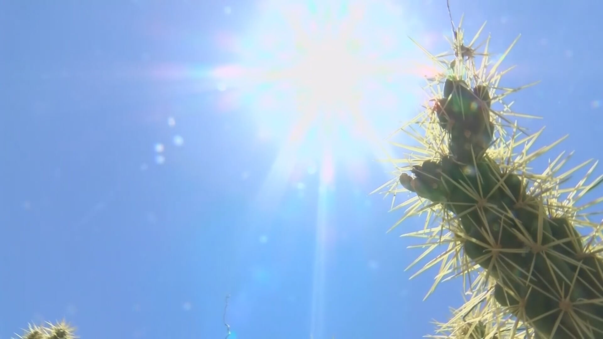 Do you have a heat plan? Here’s why Arizona families should have one
