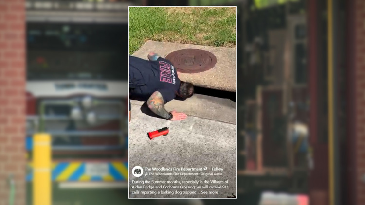 Barking dogs trapped in storm drains in The Woodlands?