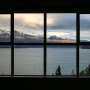 Bird‑safe glass must become the norm to prevent collisions with buildings