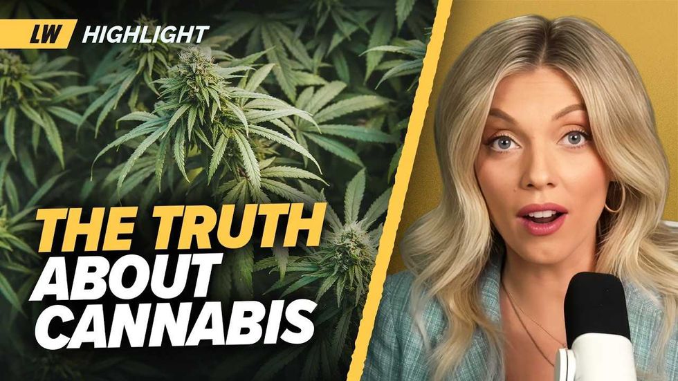 Shocking study: Marijuana use in men DOUBLES the risk of miscarriage