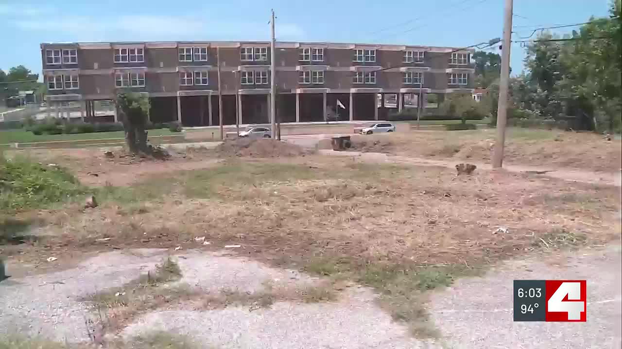 St. Louis Forestry clears overgrown lots after First Alert 4 report, residents want consistency