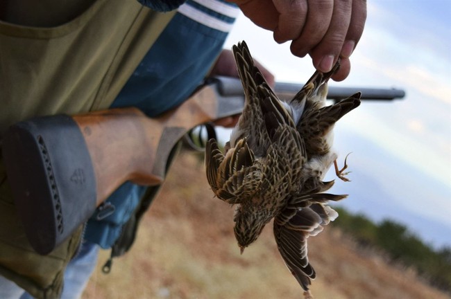 Oregon's Ploy to Ban Hunting and Fishing Just Crashed and Burned