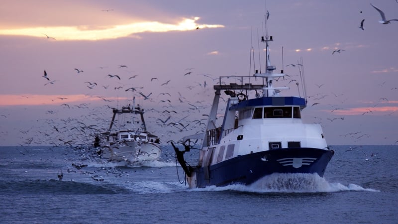 Fisheries ministers from across the EU to meet in Cork