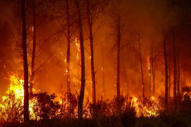 France wildfires live: Race to tackle flames near Bordeaux before 41C heatwave
