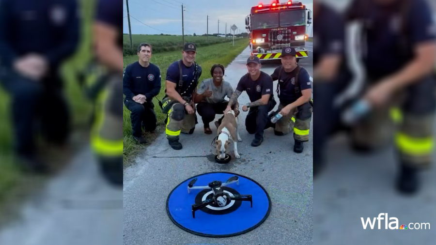 WATCH: Florida fire department reunites dog with owner after running away during crash