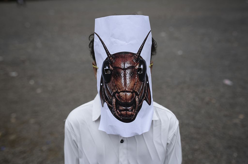 Where Does India’s Cockroach Movement Go From Here?
