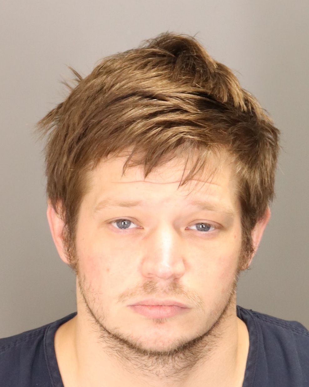 Livonia man charged with sexual assault of 11-year-old girl
