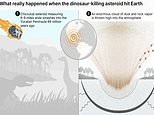 What really happened when the dinosaur-killing asteroid hit Earth: Worldwide fires incinerated most animals within HOURS - before a global winter wiped out any survivors, study finds