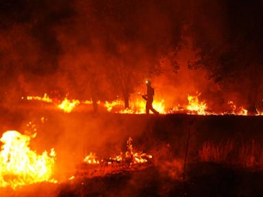 Firefighters say they've never seen anything like Spain's record blaze