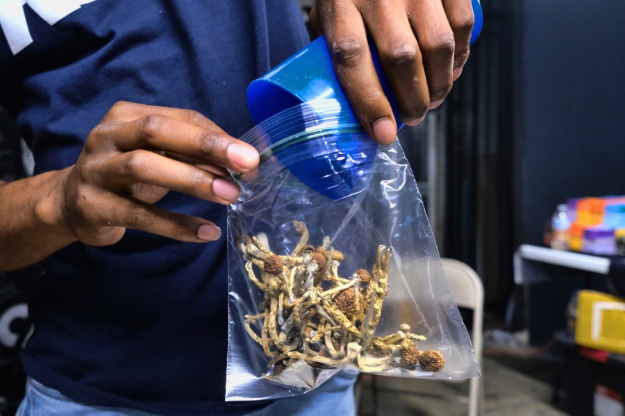 'Little baby zombies': New Jersey YMCA campers fed magic mushroom-laced edibles