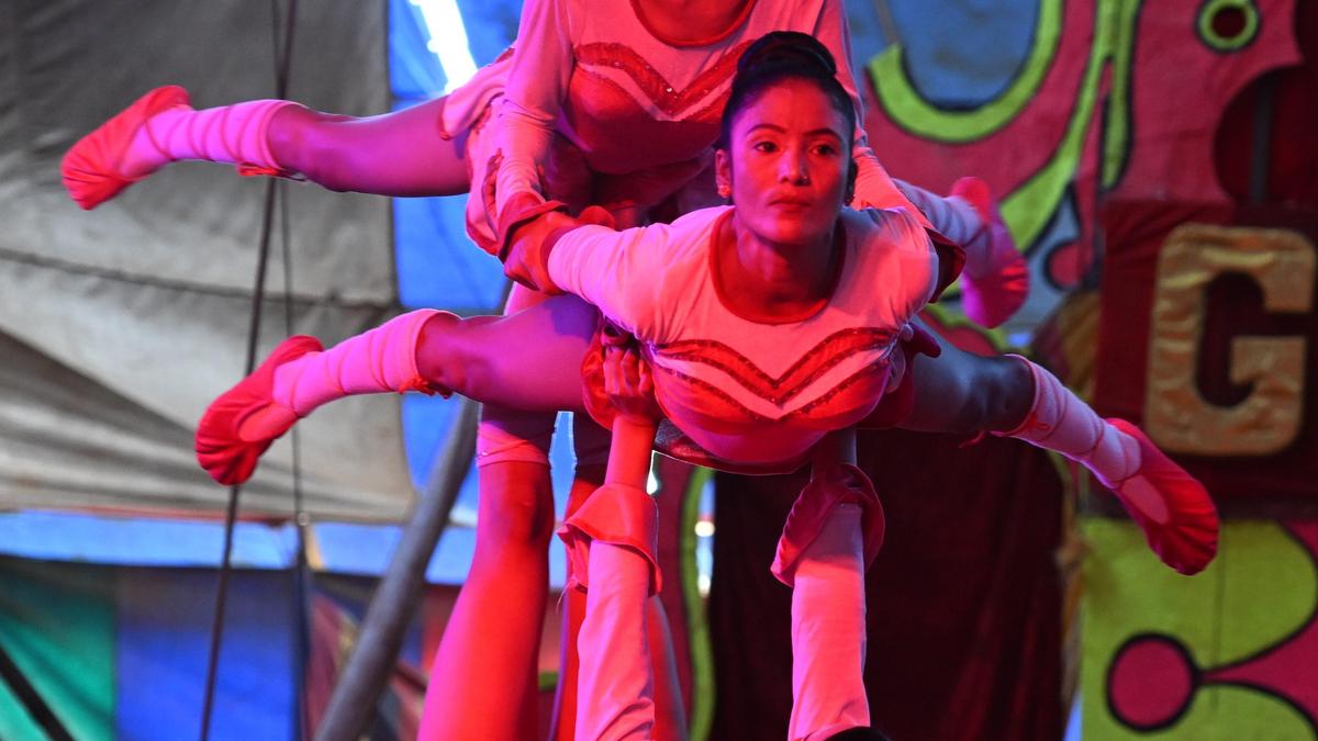 Circus comes to town with crowd-pleasing repertoire