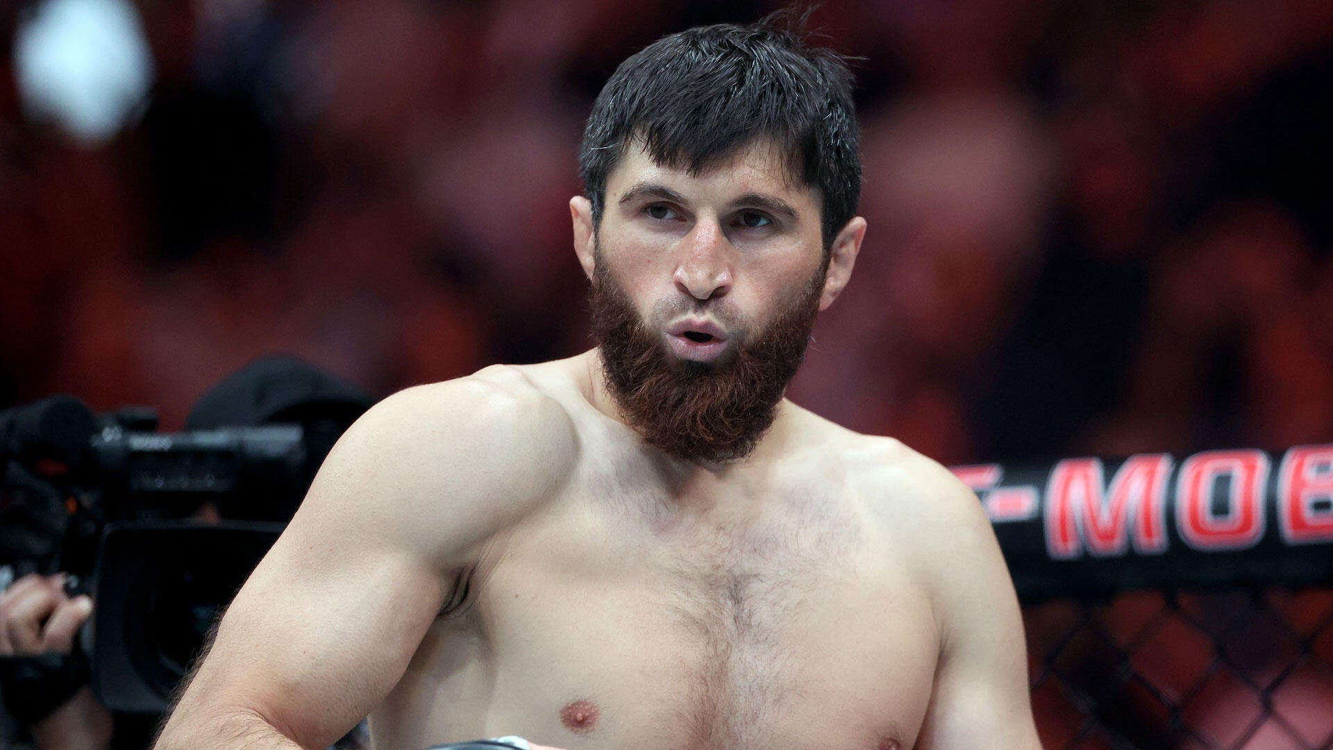 Where things stand in the crowded UFC light heavyweight title picture with Carlos Ulberg out until 2027