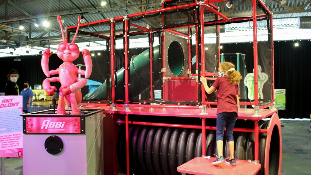 "Bug Squad" offers interactive experiences to learn about insects at Peggy Notebaert Nature Museum