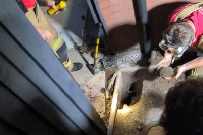 Look: Firefighters break through concrete to rescue trapped hedgehog