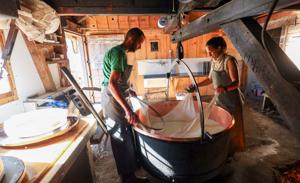 Swiss cheesemakers try to fill hole in sales from US tariffs