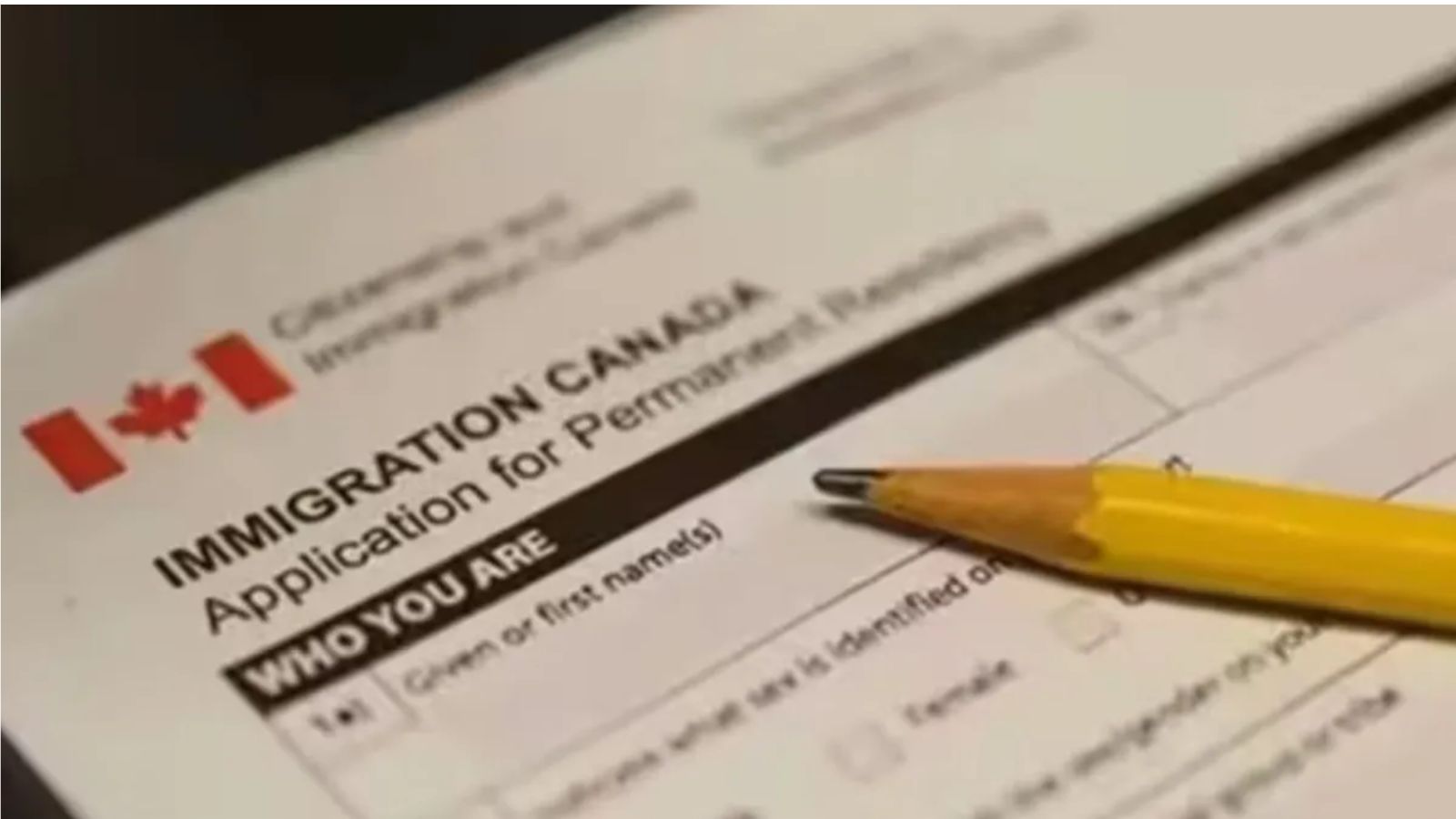 Why do Indians account for nearly 60% of the drop in Canada’s permanent residency numbers