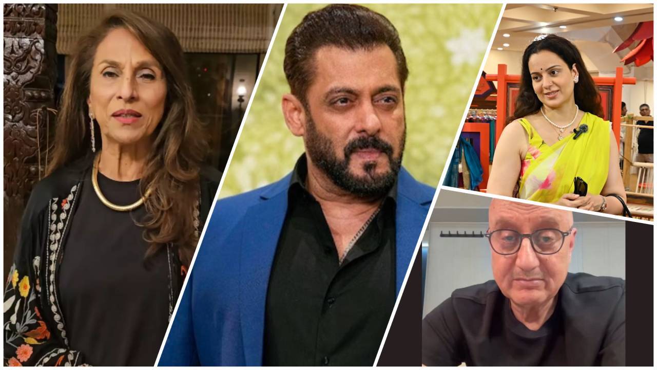 Shobhaa De calls Salman Khan's Sonam Wangchuk post 'cringe', slams stars over CJP row
