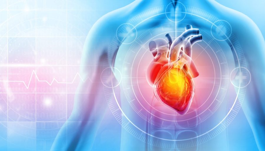 Study finds alarming level of microplastics in heart attack patients' blood