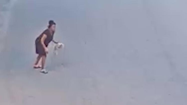 Tampa woman sentenced after video shows her throwing, kicking dog that later died