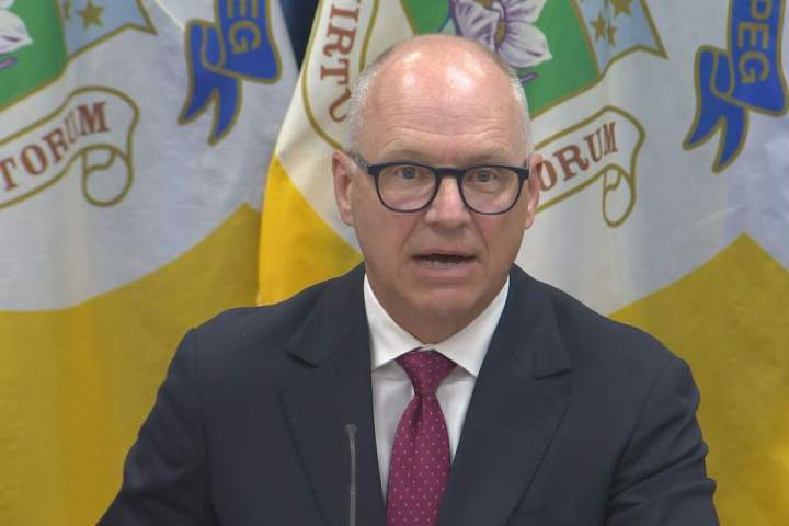 Winnipeg to consider new crisis response team for wellness calls