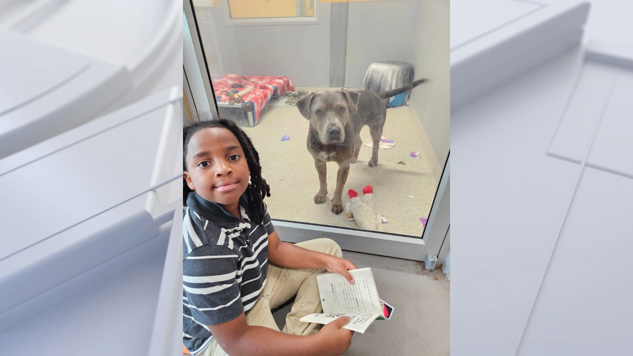 Boy, 11, spends 100 hours reading to shelter animals at Jacksonville Humane Society