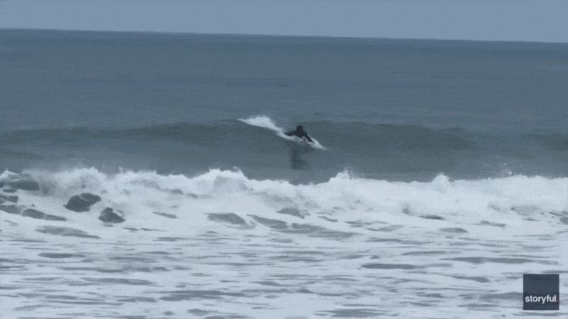 Shark Week shocker as great white breaches just yards from oblivious boogie boarder