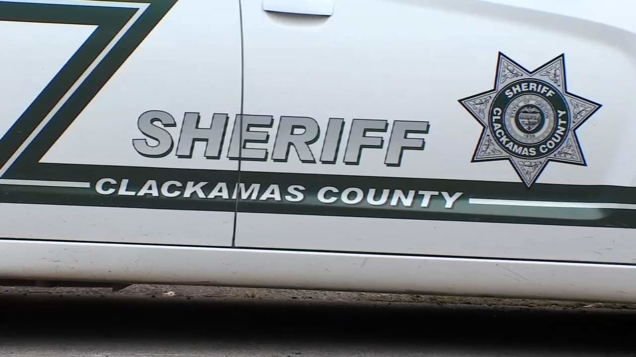 20 arrested in Clackamas County theft sting