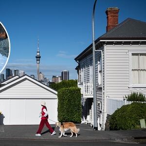 St Mary’s Bay sinkhole raises questions as intensification looms