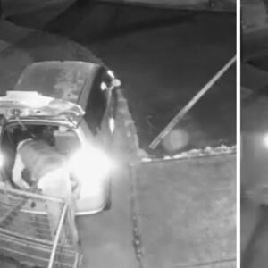 Chelsea Primary School trailer stolen in early morning raid, CCTV footage captures suspect