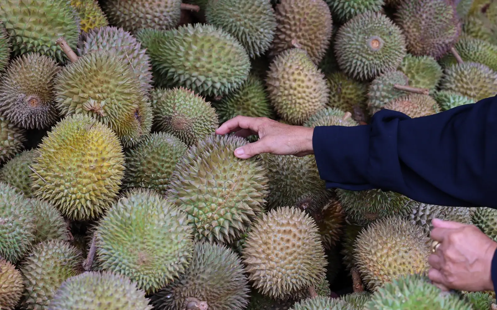 Vietnam detains deputy agriculture minister in durian export probe