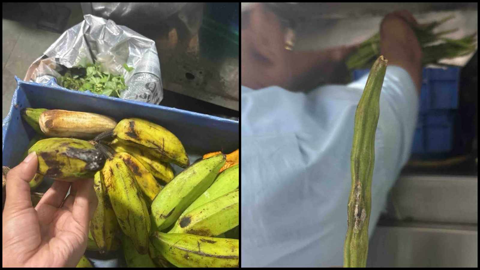 Poornima Restaurant moves Bombay HC over ‘arbitrary’ FDA action: ‘Official communication after raid’