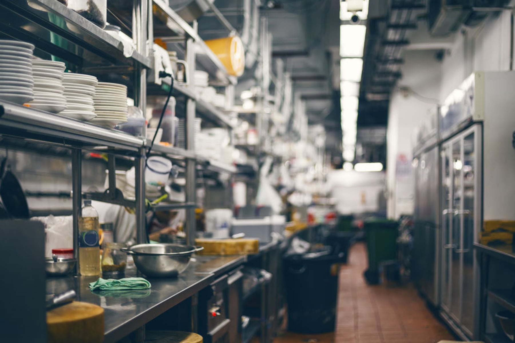 Uncovered food attracting flies: What Dauphin County restaurant inspections found