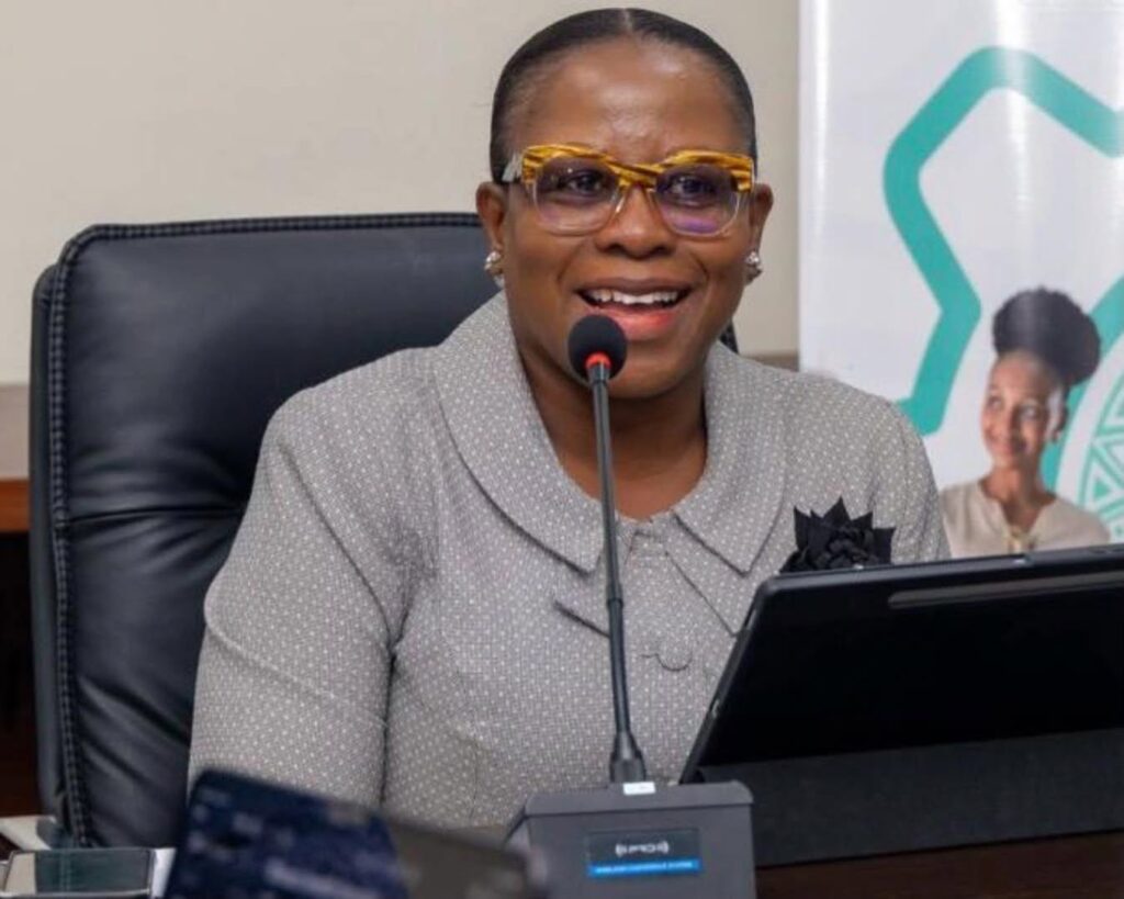 NDPC boss outlines implementation strategy for revised National Urban Policy