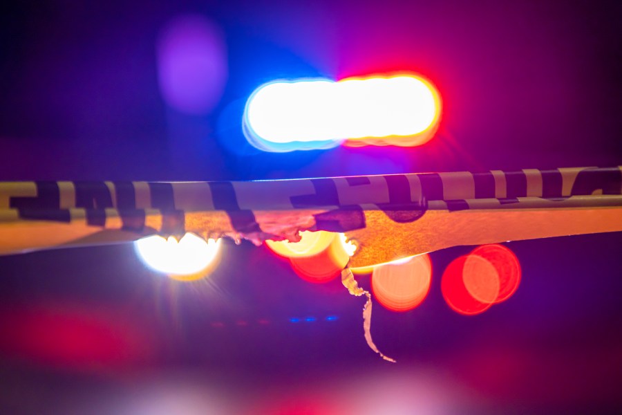 Homicide levels trending lowest in more than a century: Research