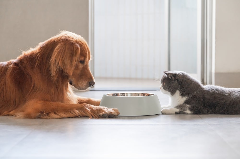 Trixie pet treats in Germany sells majority stake to Central Garden & Pet