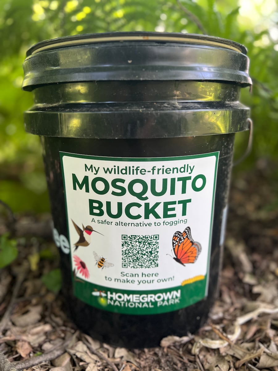 A bucket challenge that your Northeast Ohio garden needs