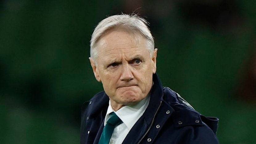 Former Australia coach Schmidt returns to Ireland in consultancy role